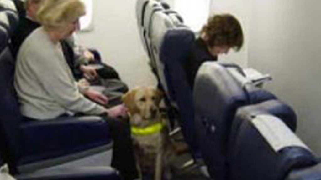 traveling with pets jetblue