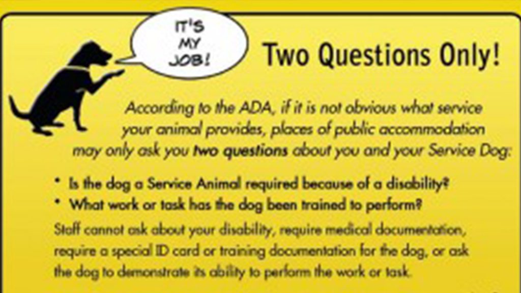 What Questions Are You Allowed To Ask About Service Dogs