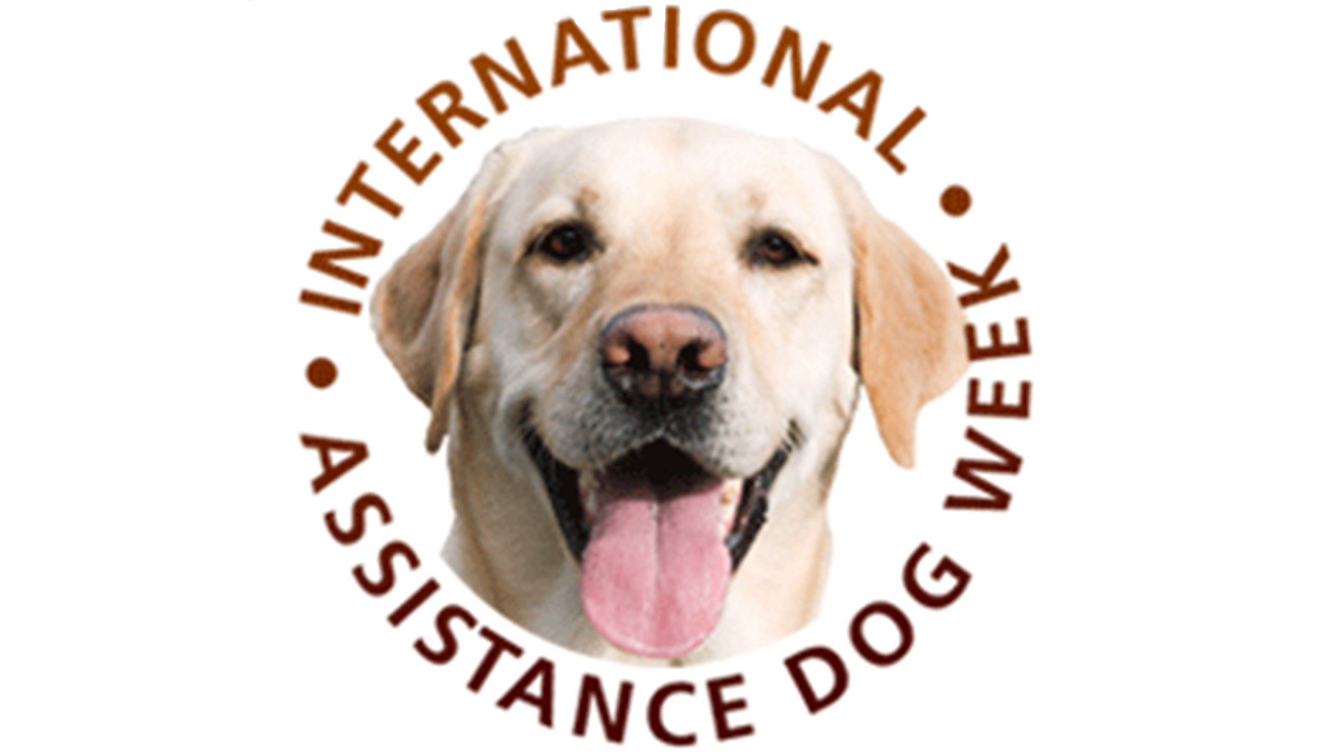 international-assistance-dog-week-2013-anything-pawsable