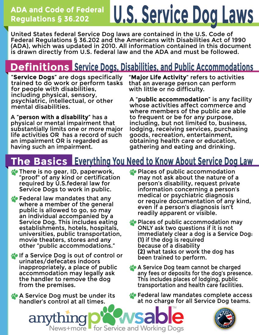 Service Dog Law Handout Anything Pawsable