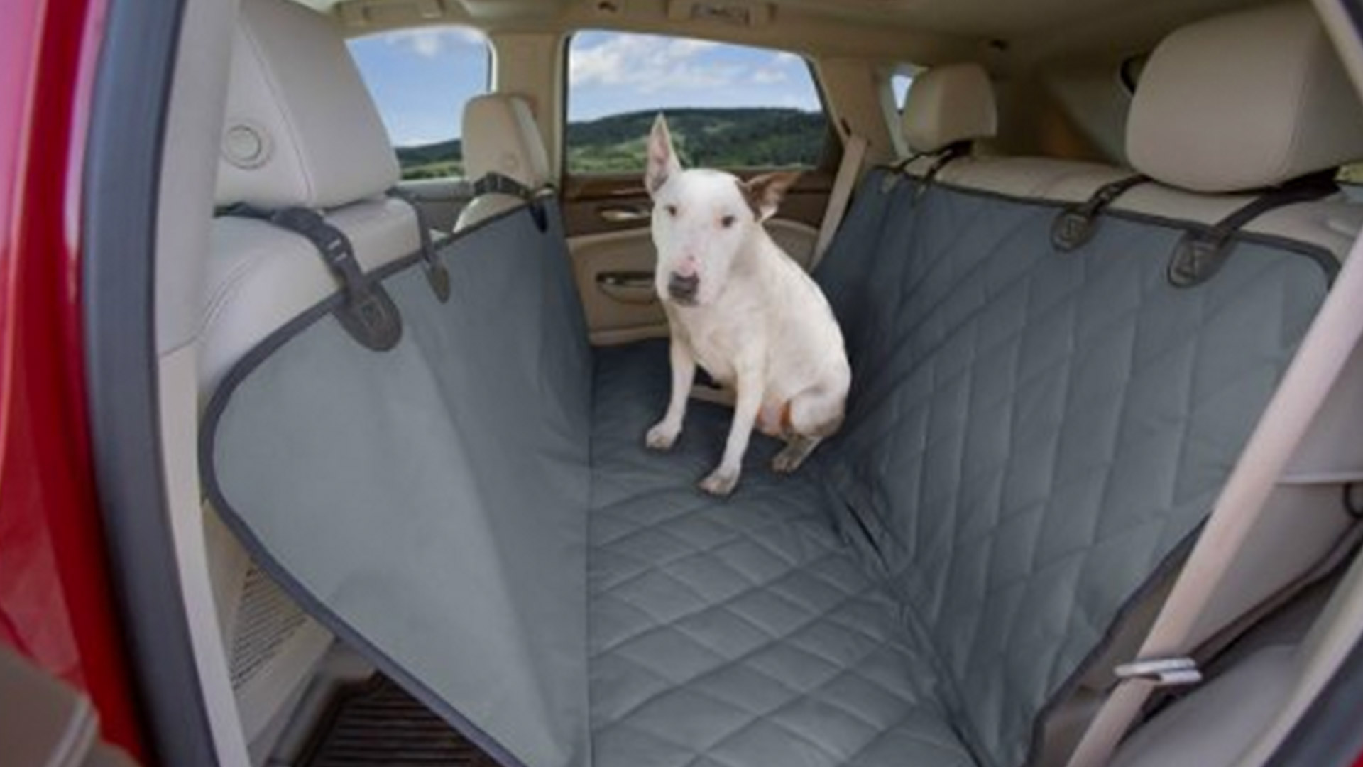 4Knines Charcoal Pet Rear Seat Covers