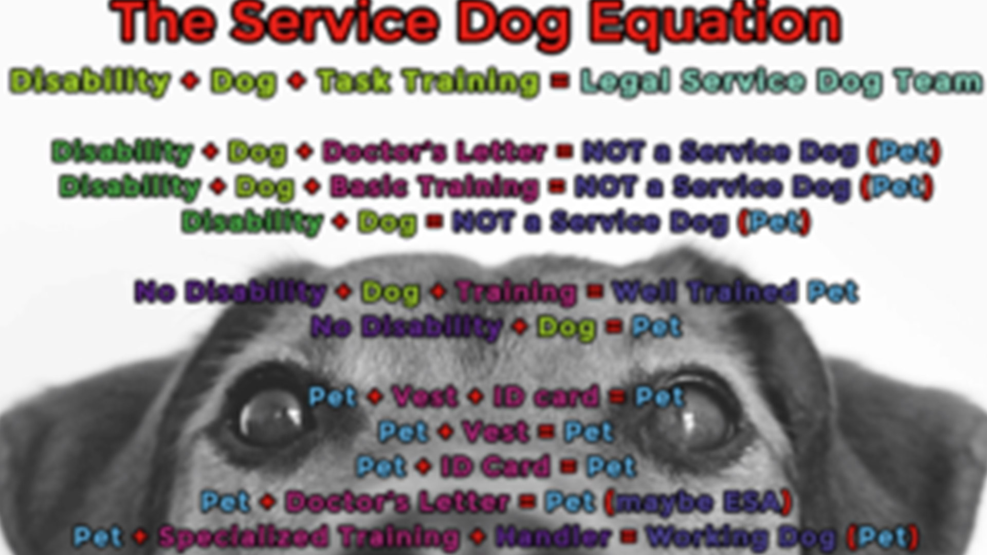 how many hours of training does a service dog need