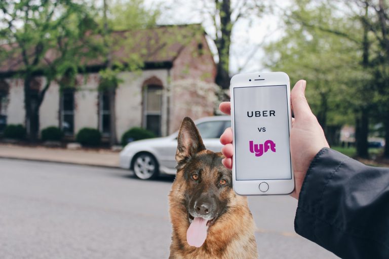 Uber and Lyft: A Service Dog Partner’s Guide – Anything Pawsable