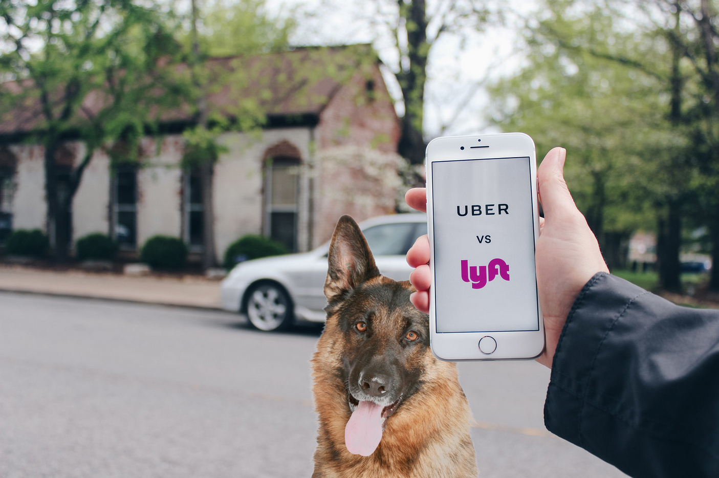 uber accept dogs
