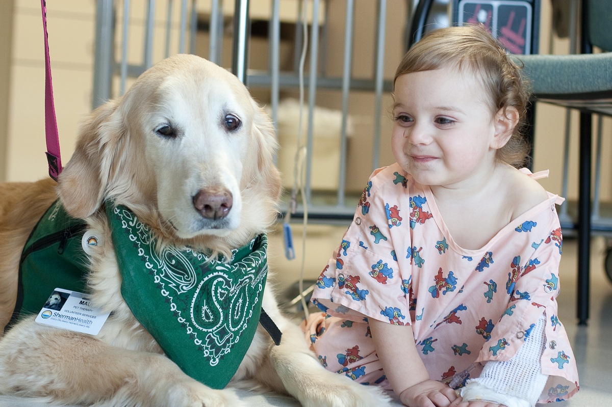 what is the difference between a service dog and a therapy dog