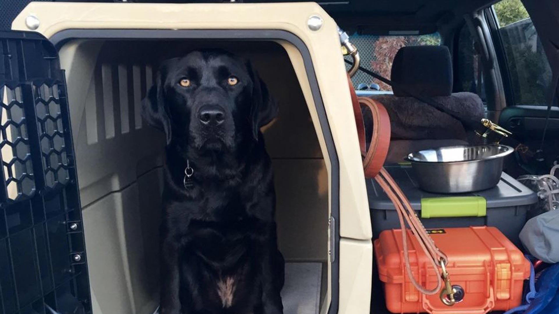 police dog crate