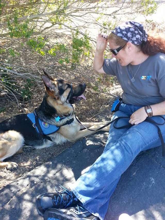 Service Dog Behavior Autism Dog Focuses on Handler