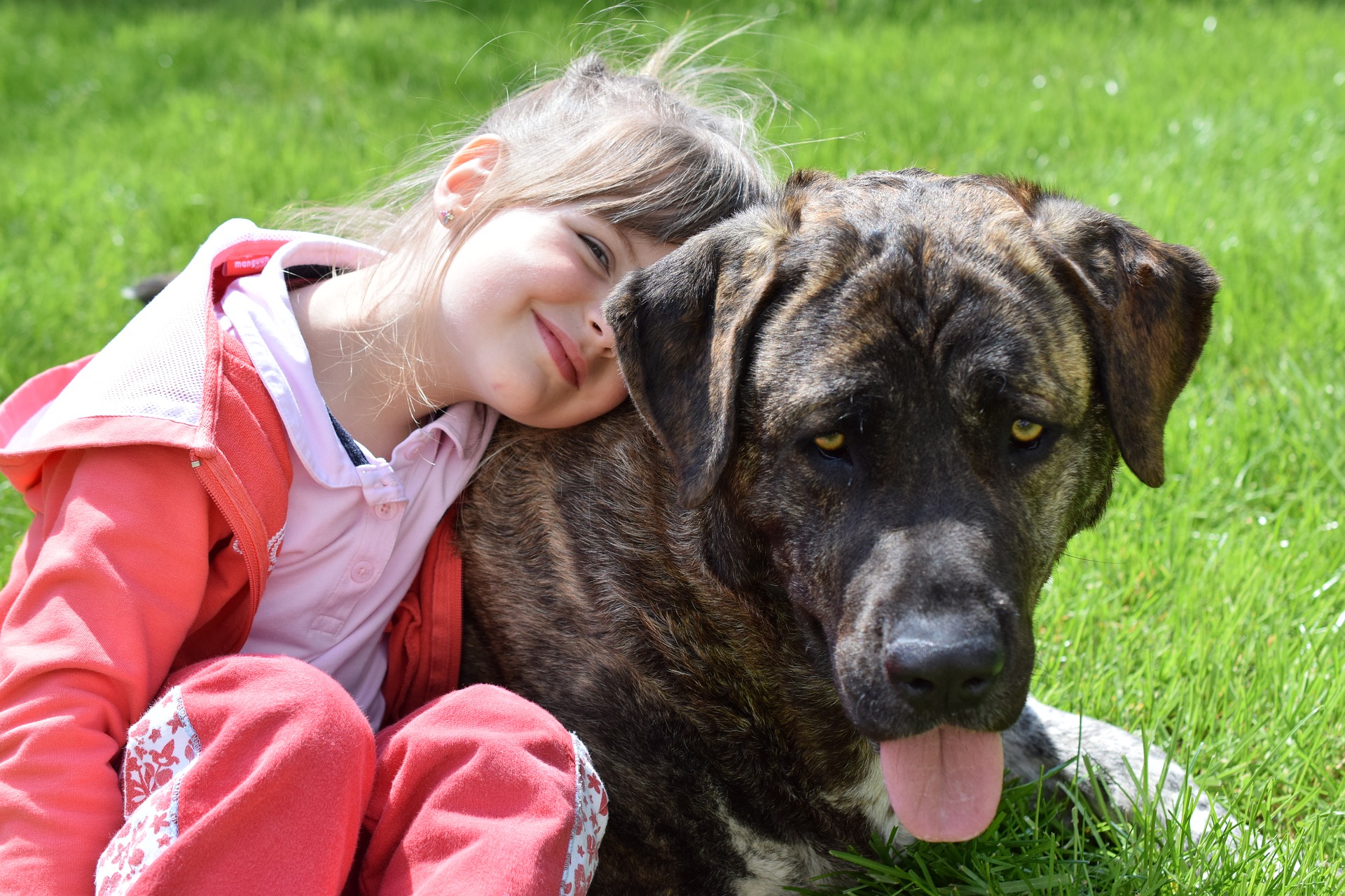 best dog breed for sensory processing disorder