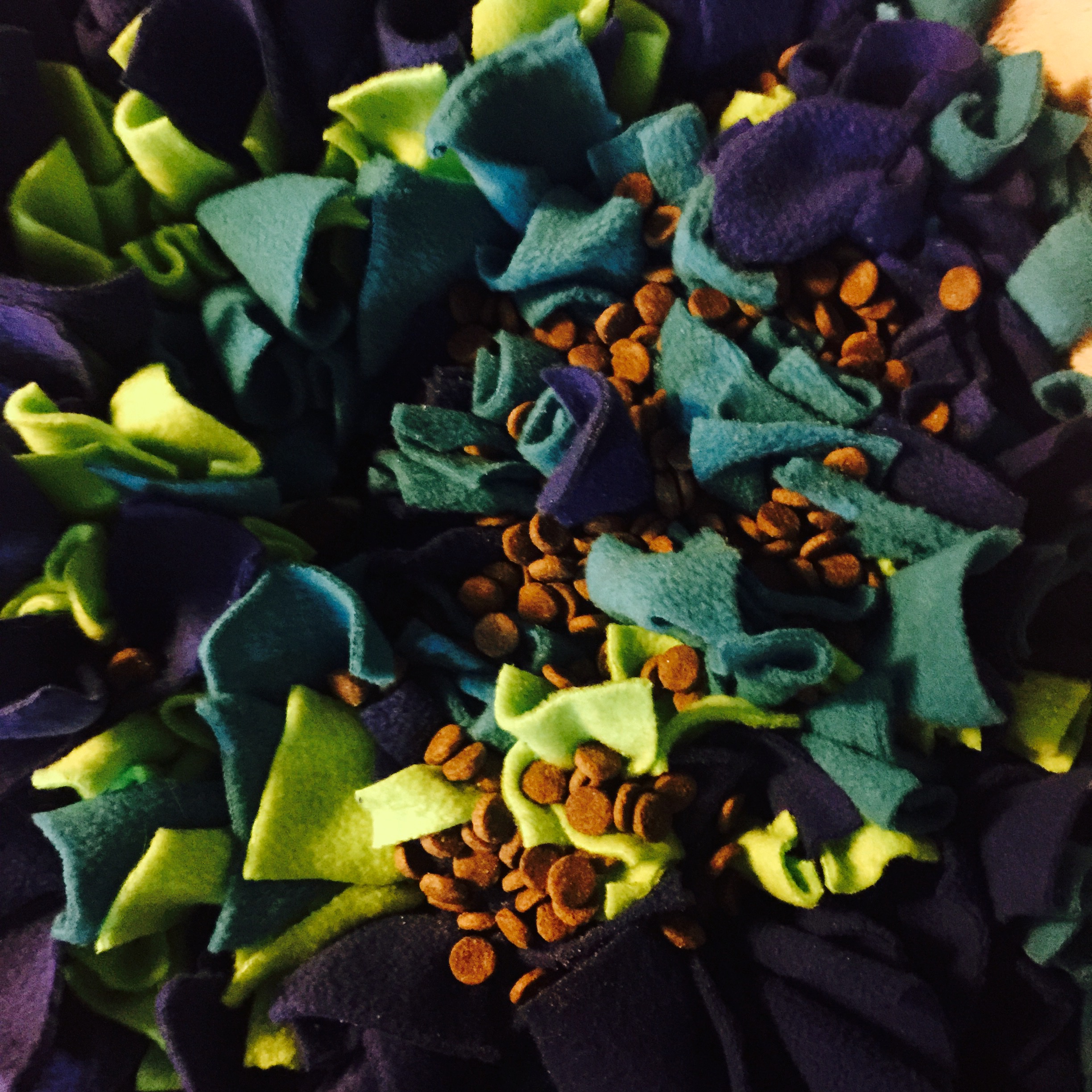 Snuffle mat with food Anything Pawsable