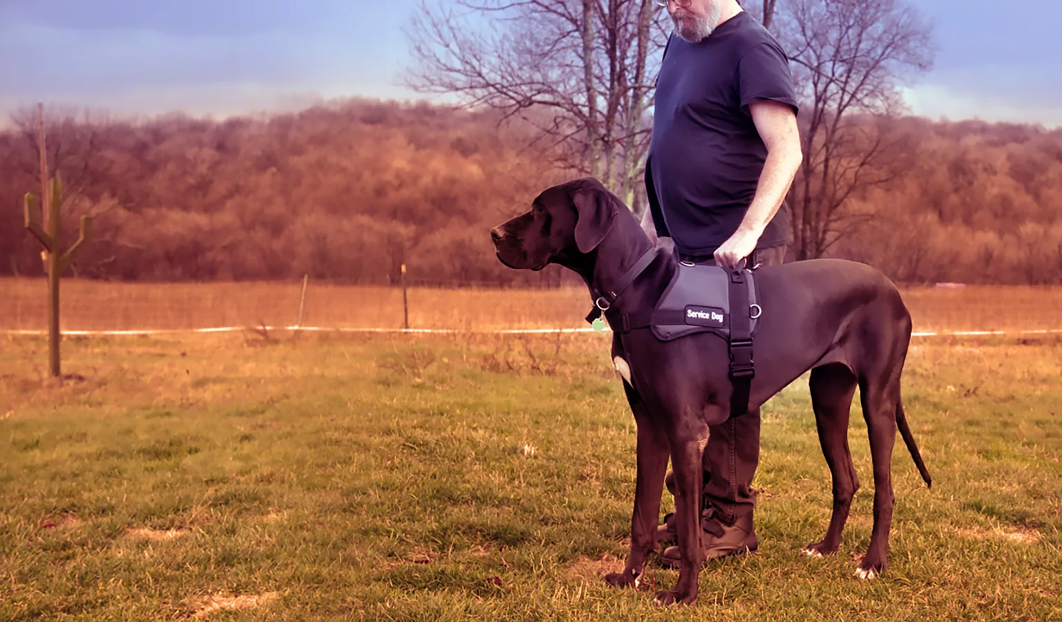 Service Dog with handler