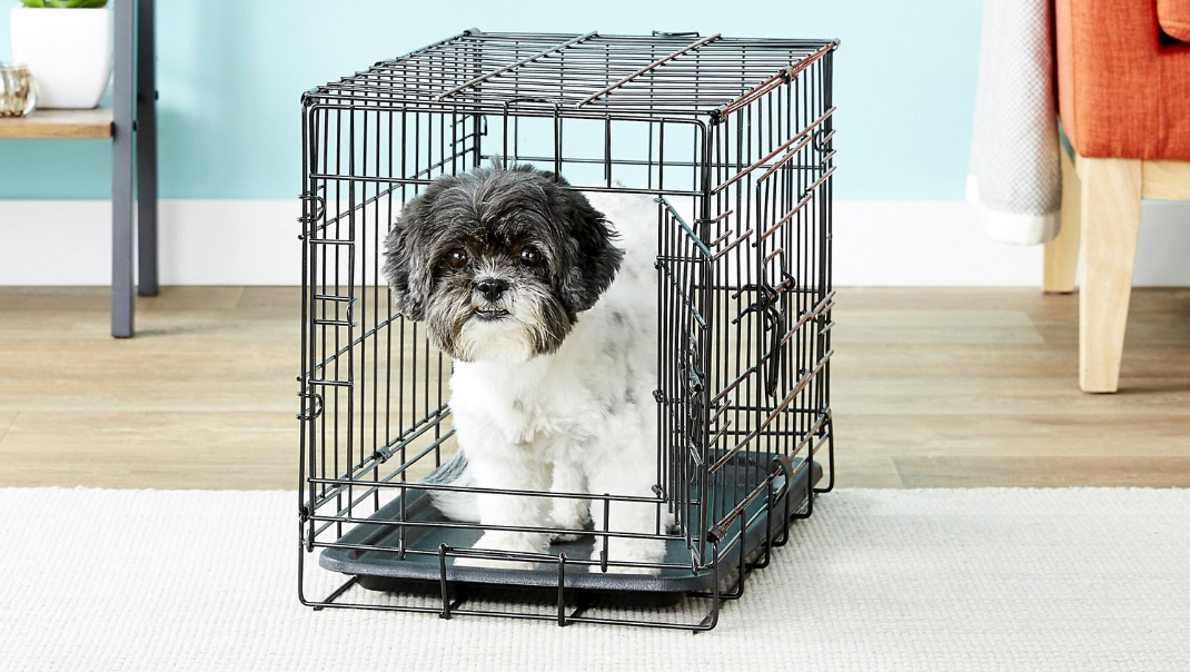 Puppy in a crate