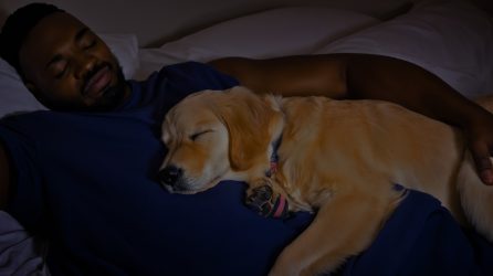 Man sleeping with dog