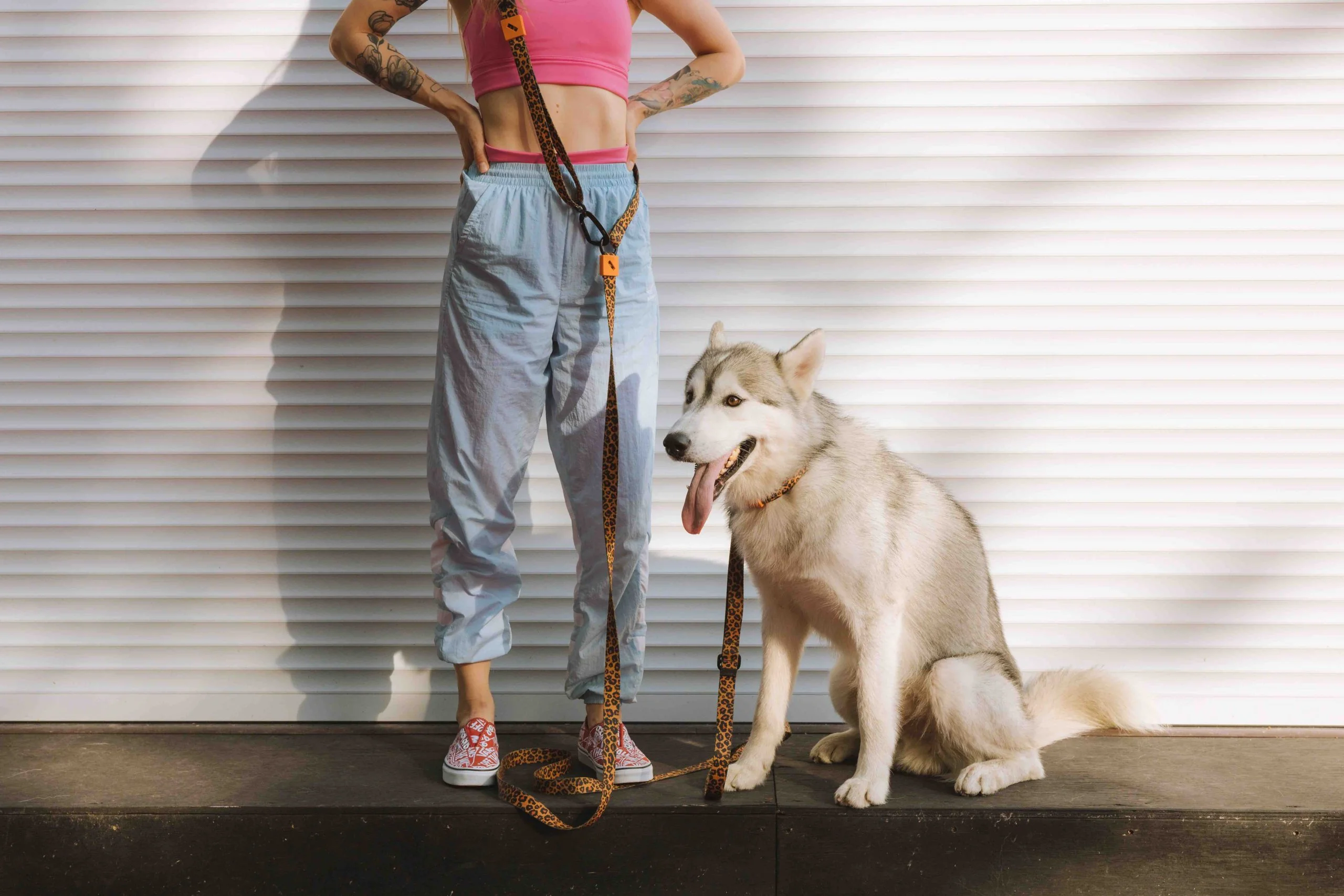 A light-colored dog sits beside a person holding its leash