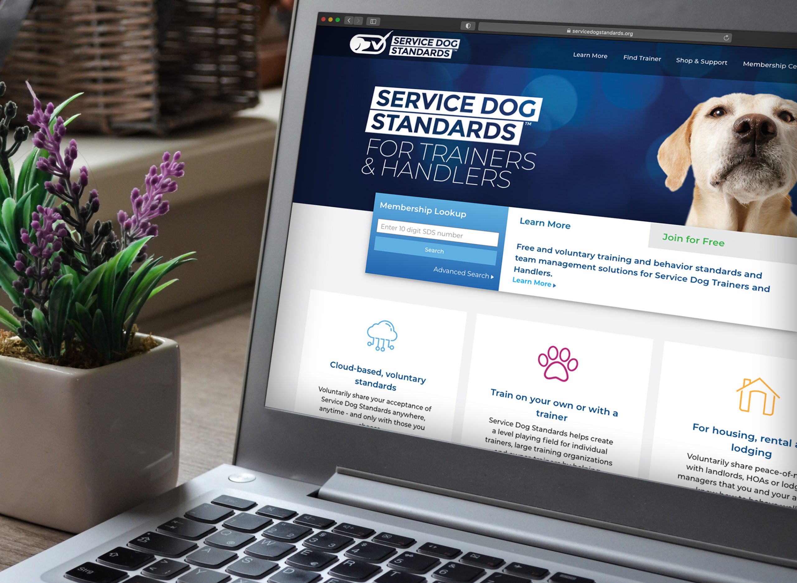 Service Dog Standards Website