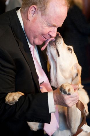 Michael Hingson gets a lick from his guide dog, Roselle ( Image: Bill Clark/CQ Roll Call/Getty)