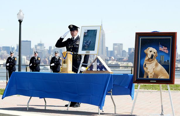 A NY-NJ Port Authority Police Officer salutes near a painting of Sirius, a K9 dog killed during the terrorist attack at the World Trade Center, during a memorial service at Liberty State Park April 24, 2002 in Jersey City ( Image: Don Murray/Getty Images)