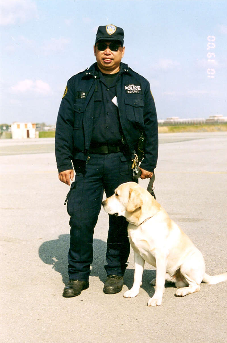 © Collection 9/11 Memorial & Museum, Gift of Lt. David W. Lim, Port Authority Police Department Lim with his K-9, a yellow Labrador…
